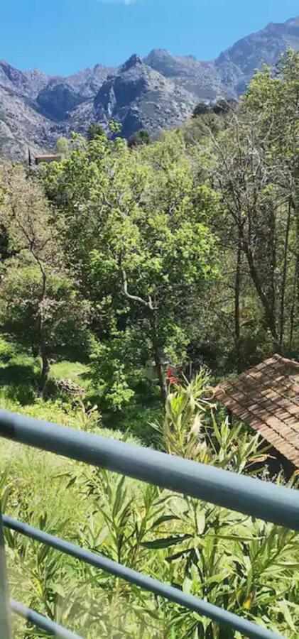Maison Avec Jacuzzi Au Coeur Des Montagnes Feliceto Exterior foto